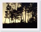 Atardecer