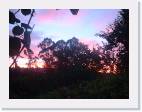 Crepusculo